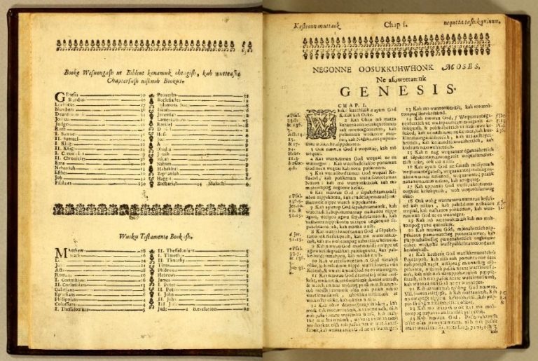 tyndale bible translation sources